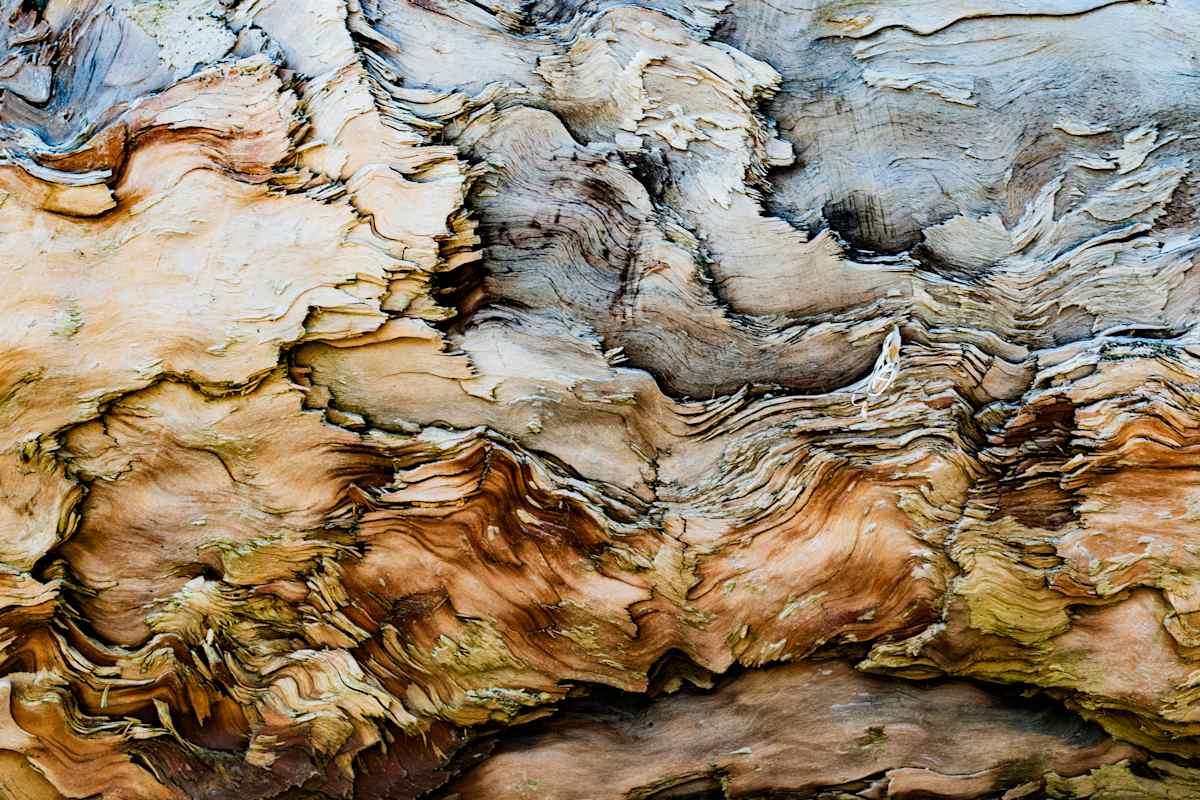 Odyssey 2 by Kristina L Jager  Image: Odyssey 2, second in the Odyssey Series