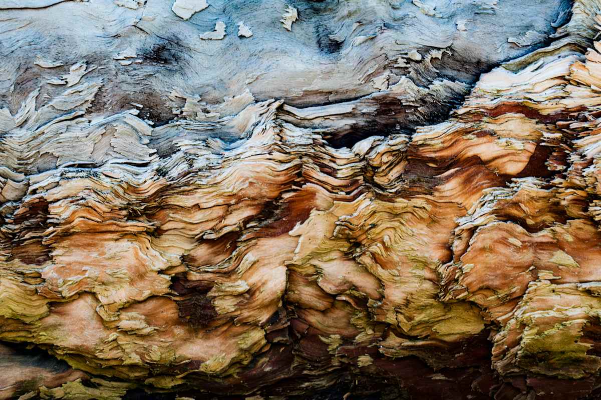 Odyssey 3 by Kristina L Jager  Image: Odyssey 3, third piece in the Odyssey Series
