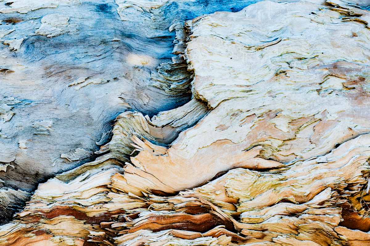 Odyssey 4 by Kristina L Jager  Image: Odyssey 4 is the fourth piece in the Odyssey Series

