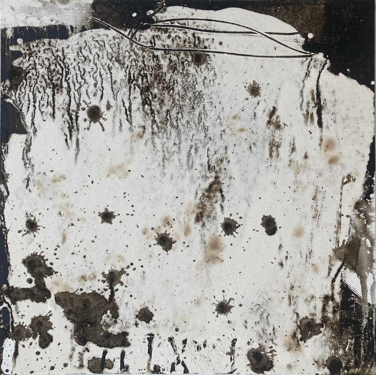 First traces in the melting snow yesterday # 1 by Margret Trimborn 