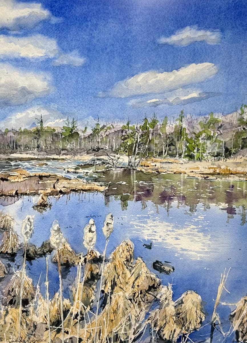 Glebe Road; A Good Place to Pause by John Dimick 