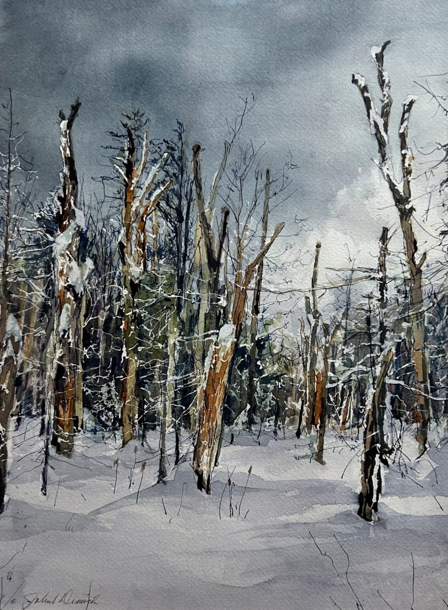 Snow Squall Heading In by John Dimick 