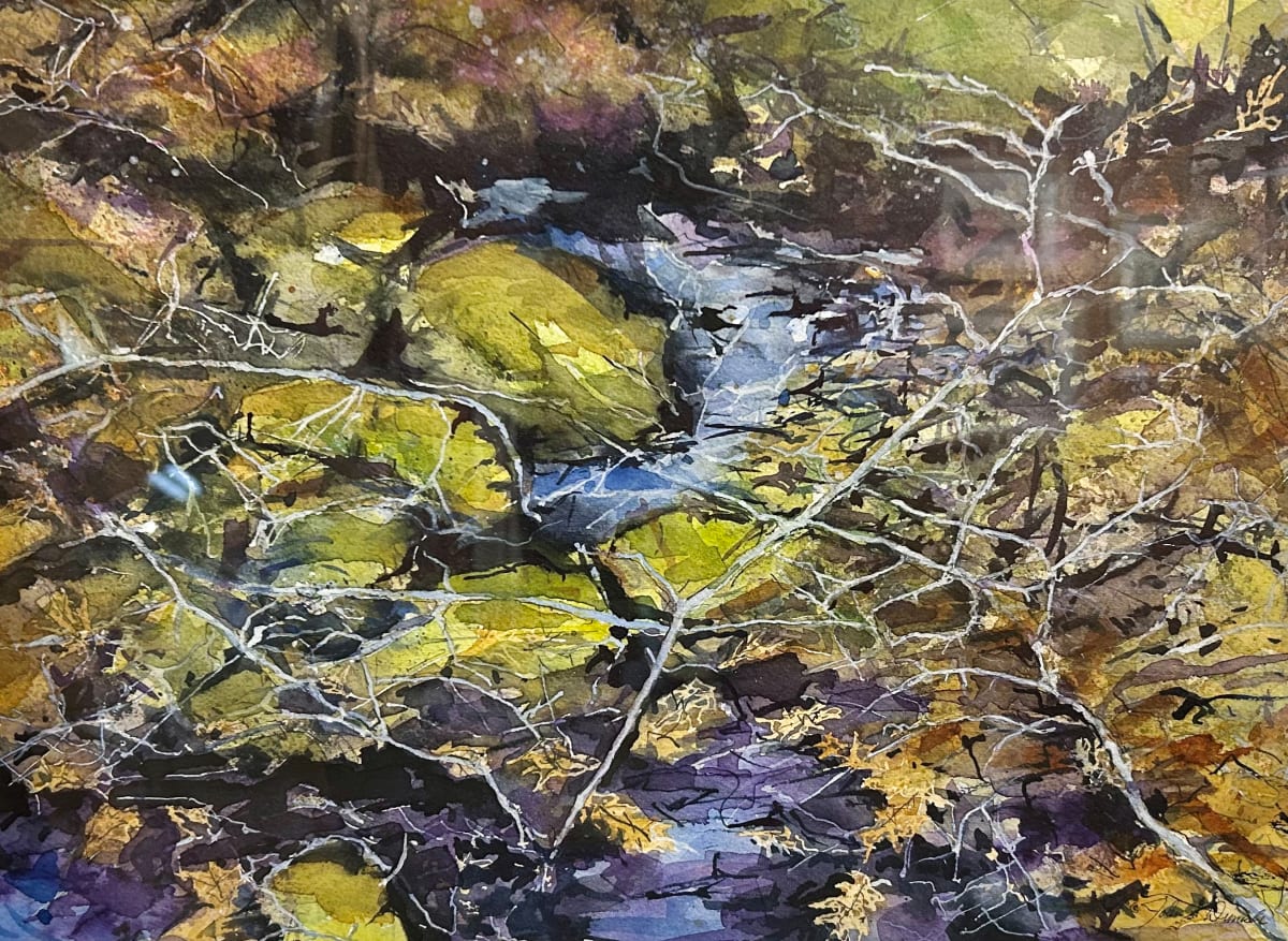 Reflections Through Canopy by John Dimick, Image 1.