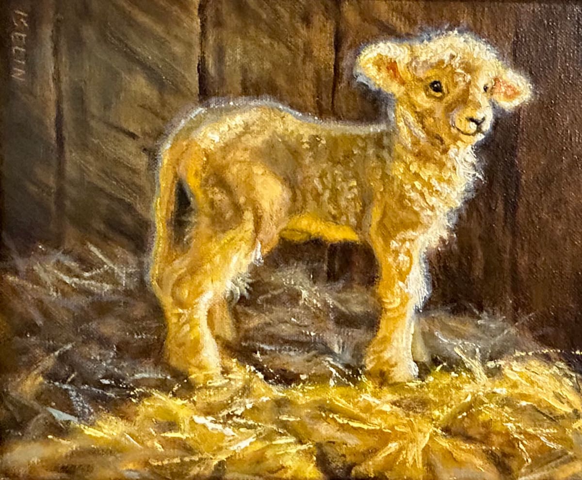 Dandy Little Guy by Mary Iselin 