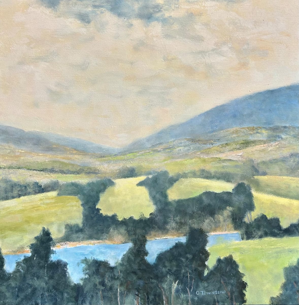 Champlain Foothills by Charles Townsend 