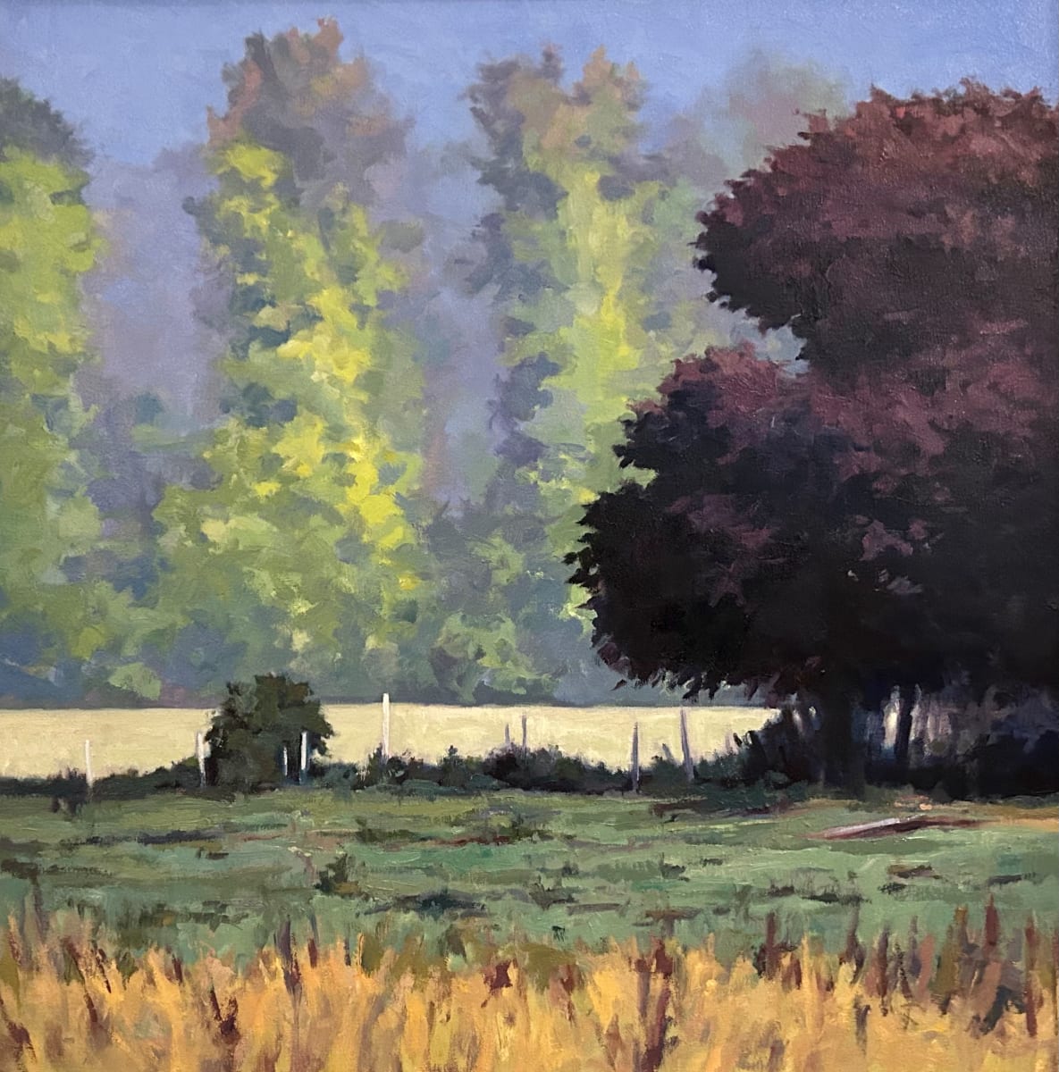 Vermont Pasture by William Roberts Fine Art 
