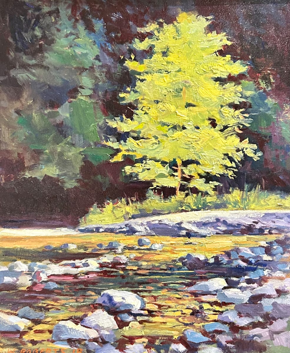 Beaver Pond - Summer by Matthew Lerman 