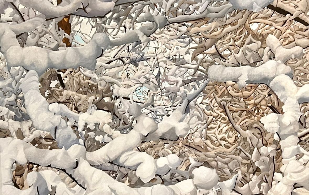 Winter Web by Robert Steinem 