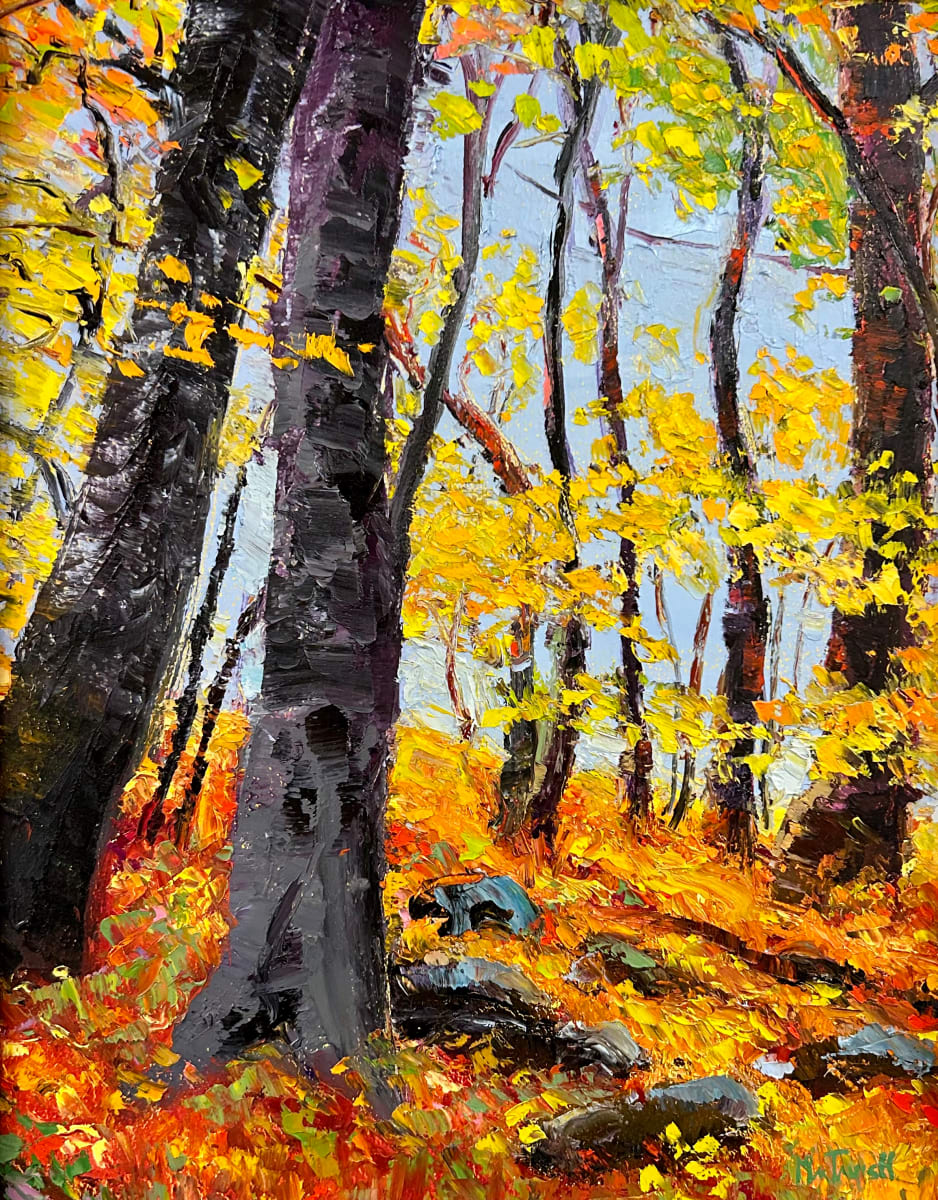 In the Woods (34) by Michael MacTavish 