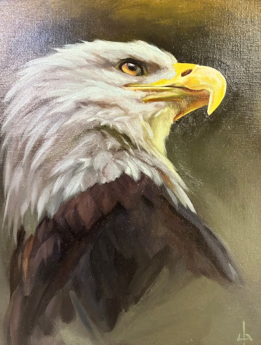 Bald Eagle by Julia Eva Bacon 