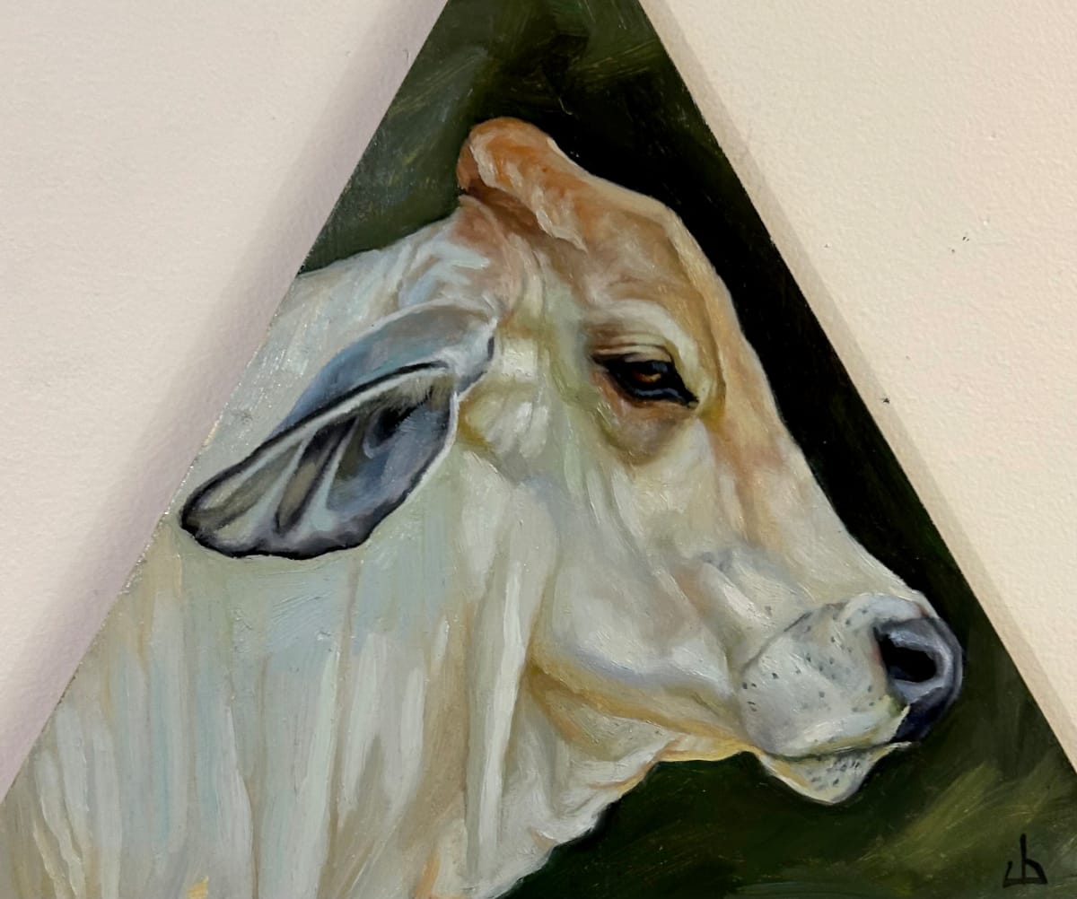 Brahman Bull by Julia Eva Bacon 