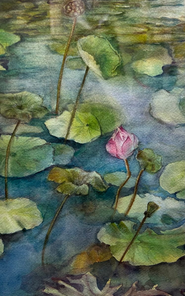 Lotus Pond #11 by Kim Eng Yeo 