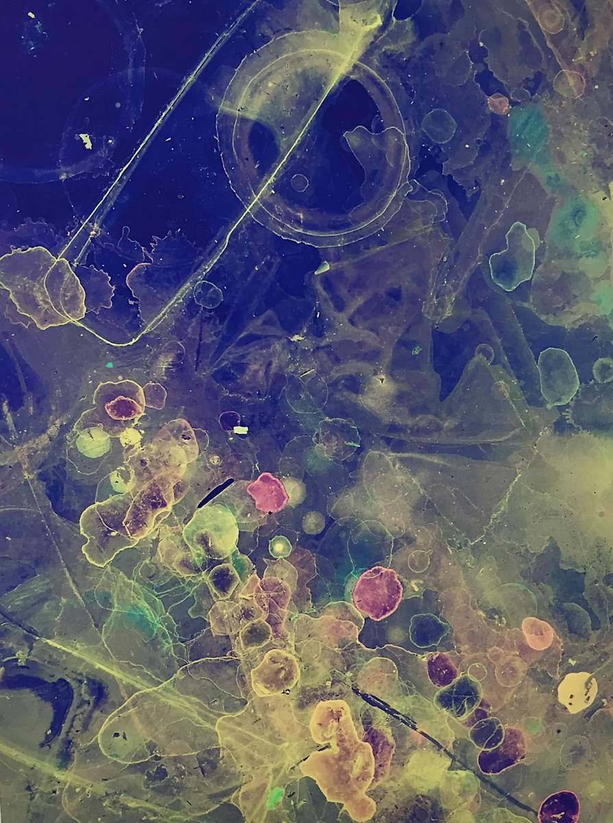 Accretion 3 by Charlie Milgrim  Image: In my Accretion series I photographed the residue left behind in my art classroom from dripping palettes that had built up layer after layer on a stainless steel surface. 
