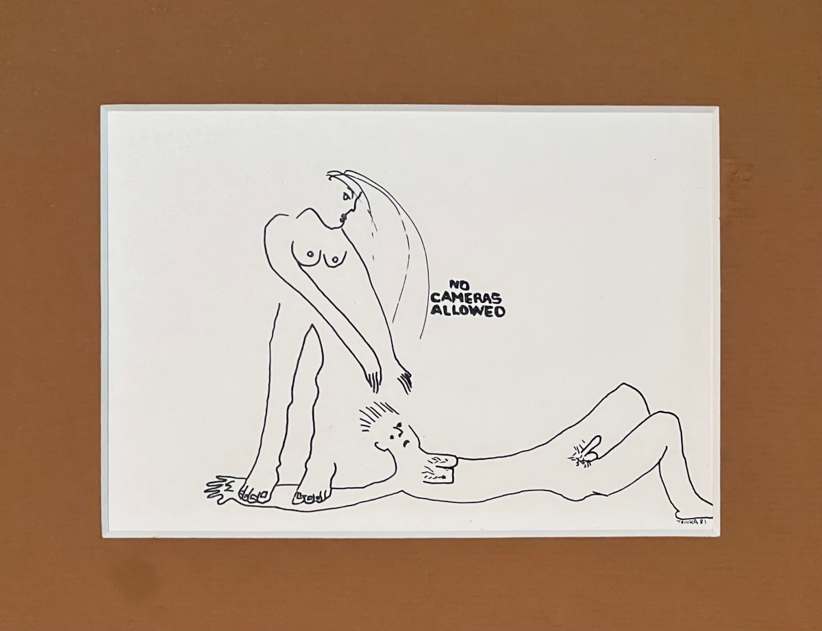 No Cameras Allowed by Randi Trinka 