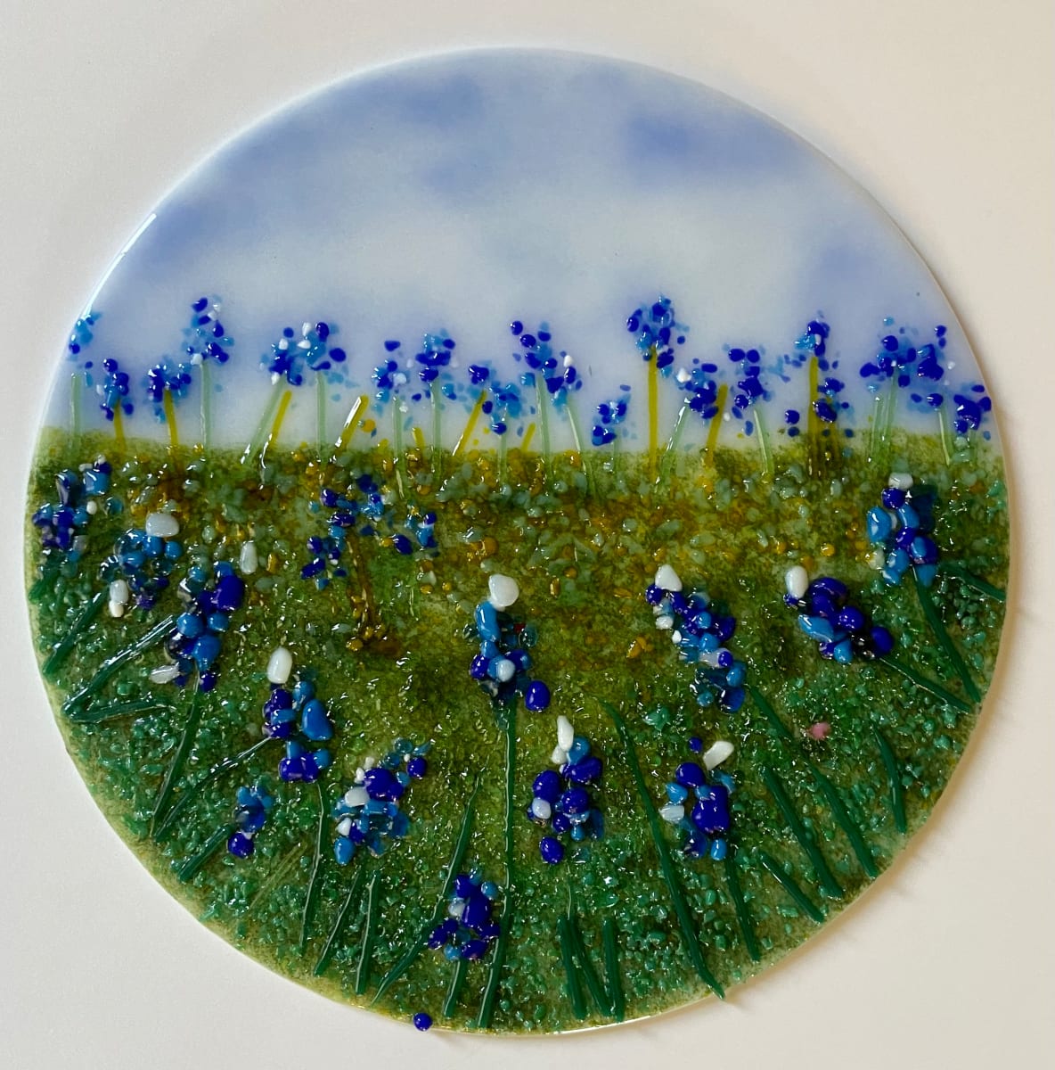 Bluebonnet Fields Forever 