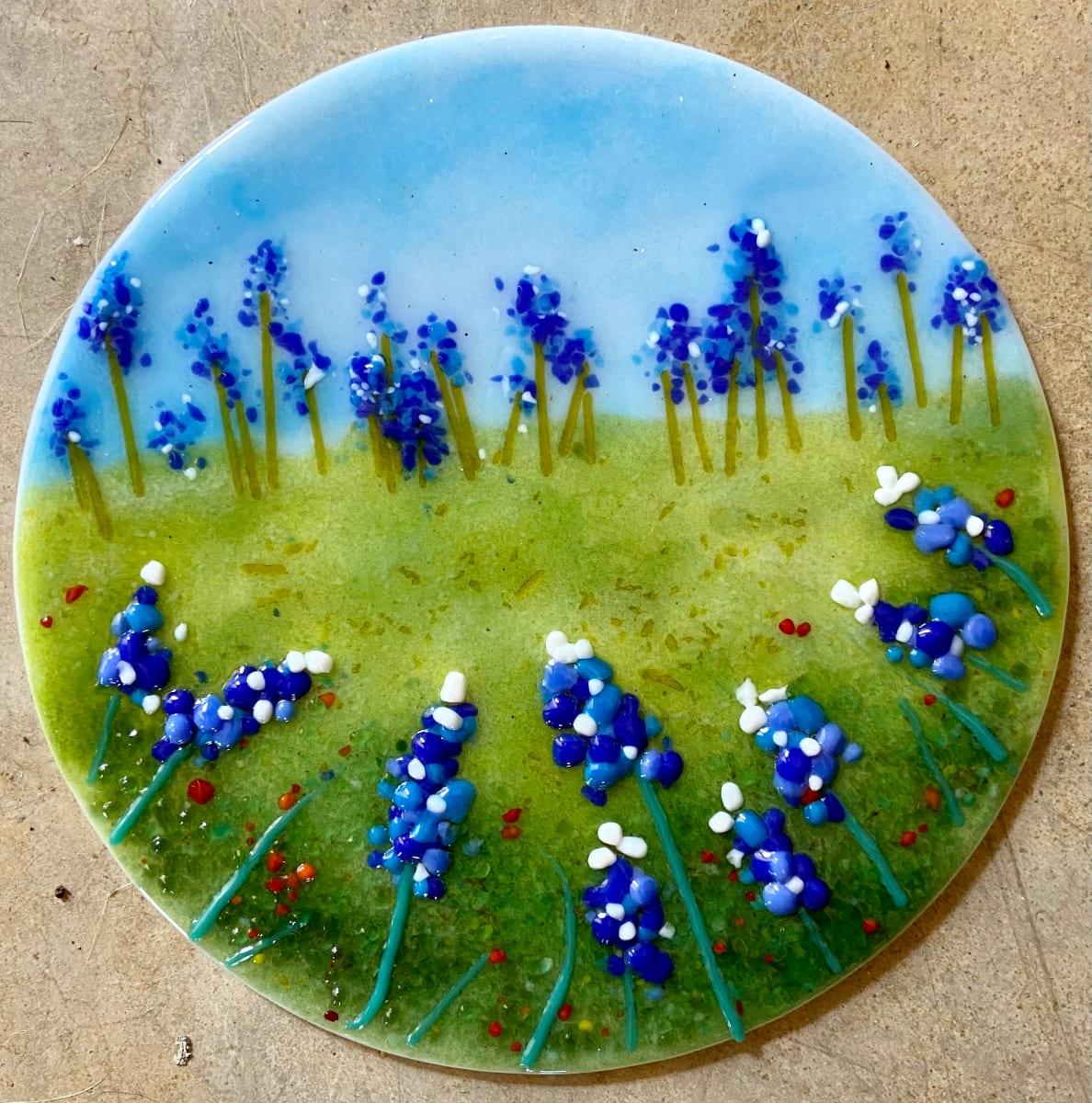 Bluebonnet Fields Forever by Cindy Cherrington 