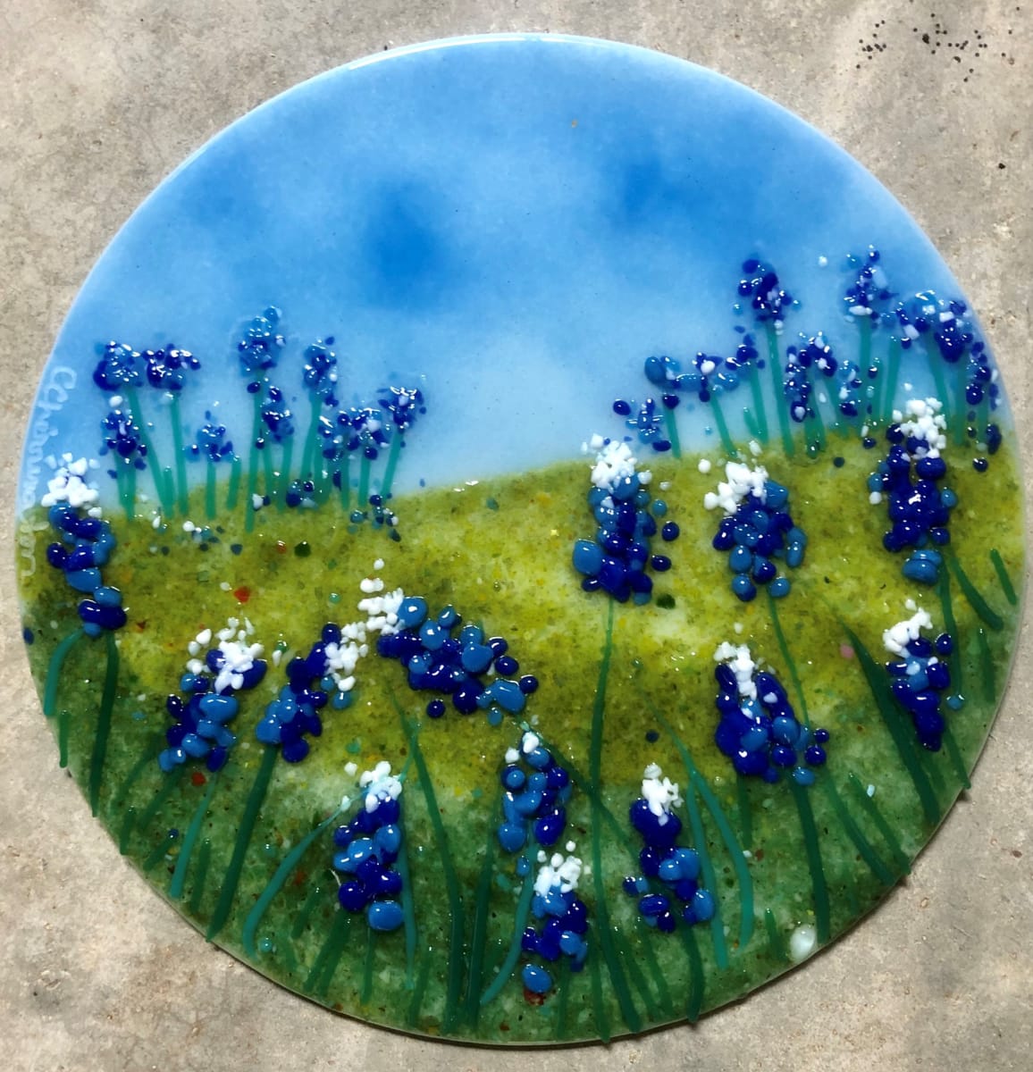 Bluebonnet Fields Forever 