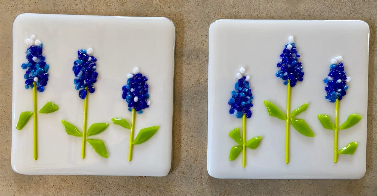 Bluebonnet, Image 1.