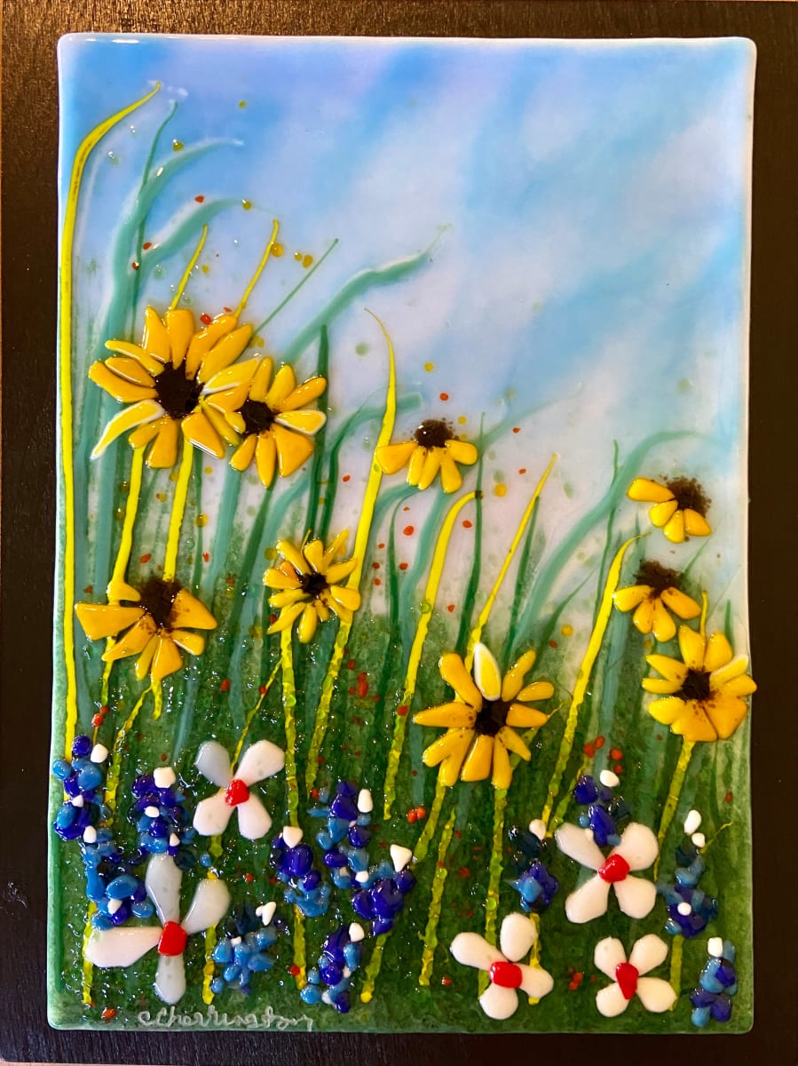 Field of Flowers Series, Image 1.