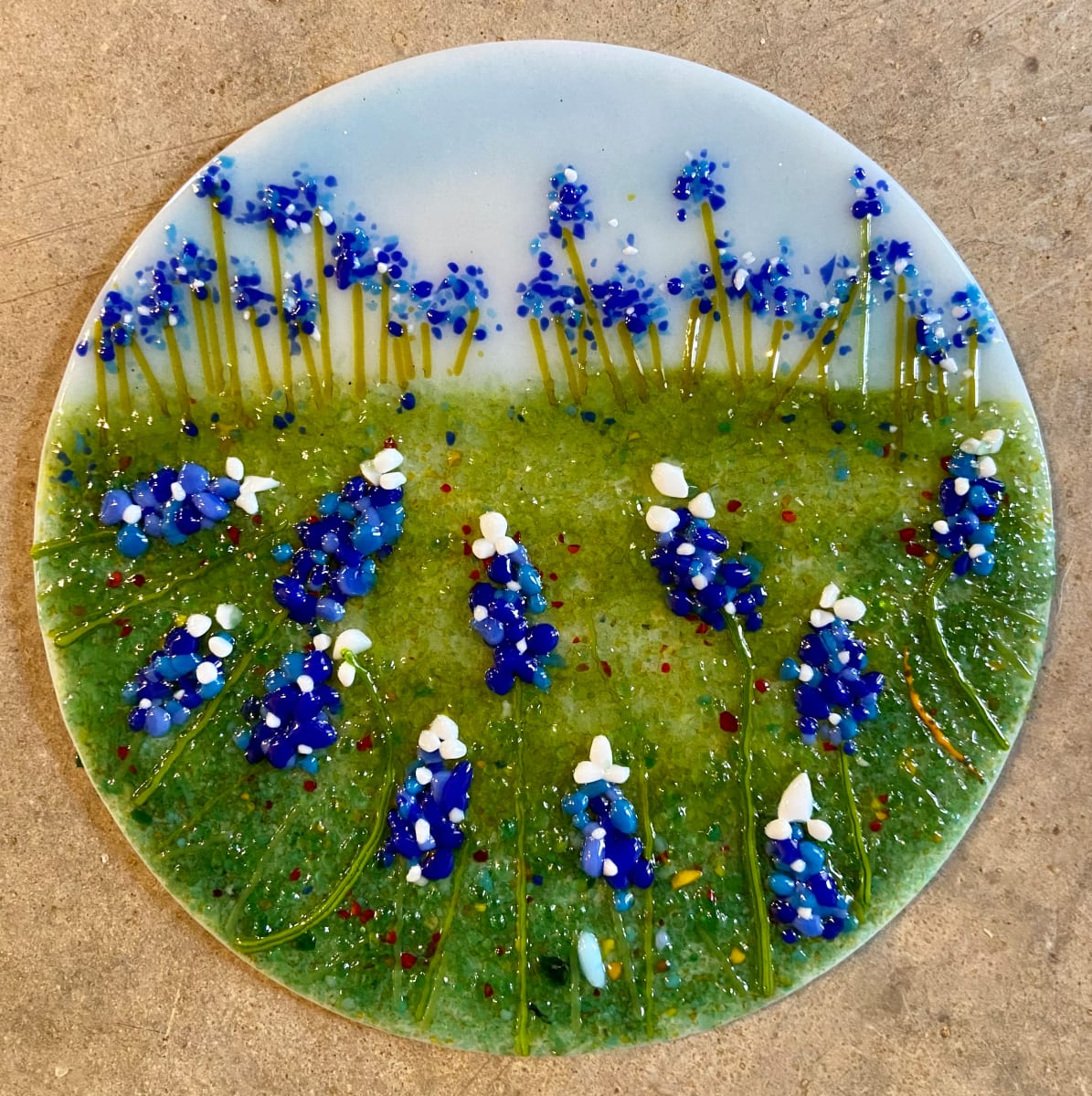 Bluebonnet Fields Forever by Cindy Cherrington 