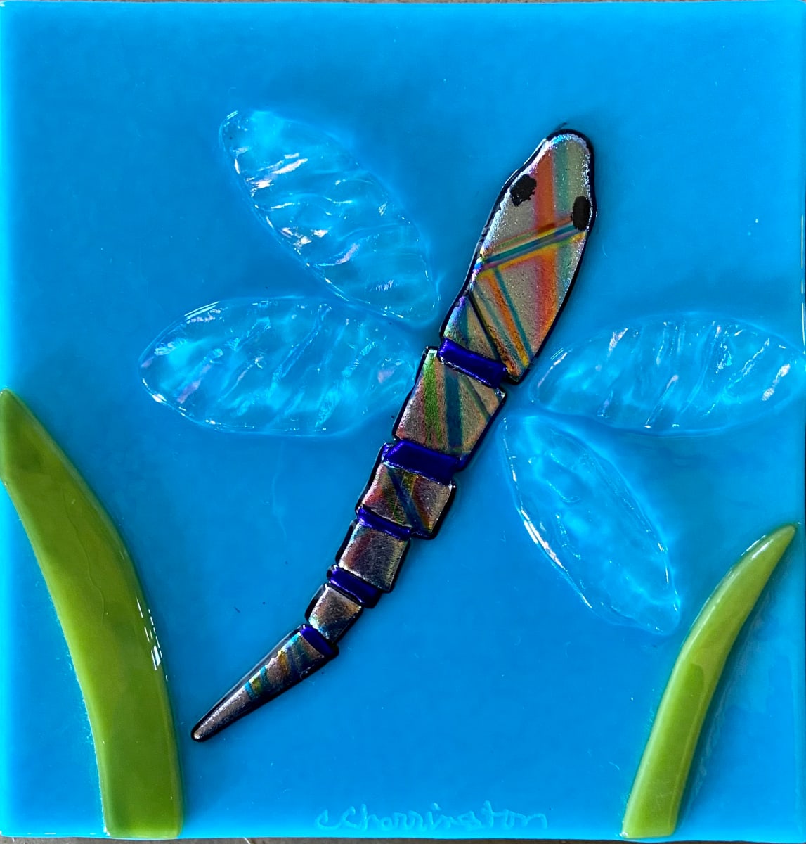 Dragonfly Series by Cindy Cherrington 