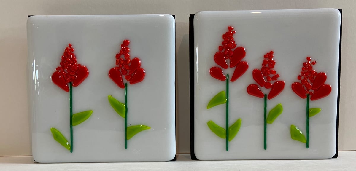 Indian Paintbrush by Cindy Cherrington, Image 1.