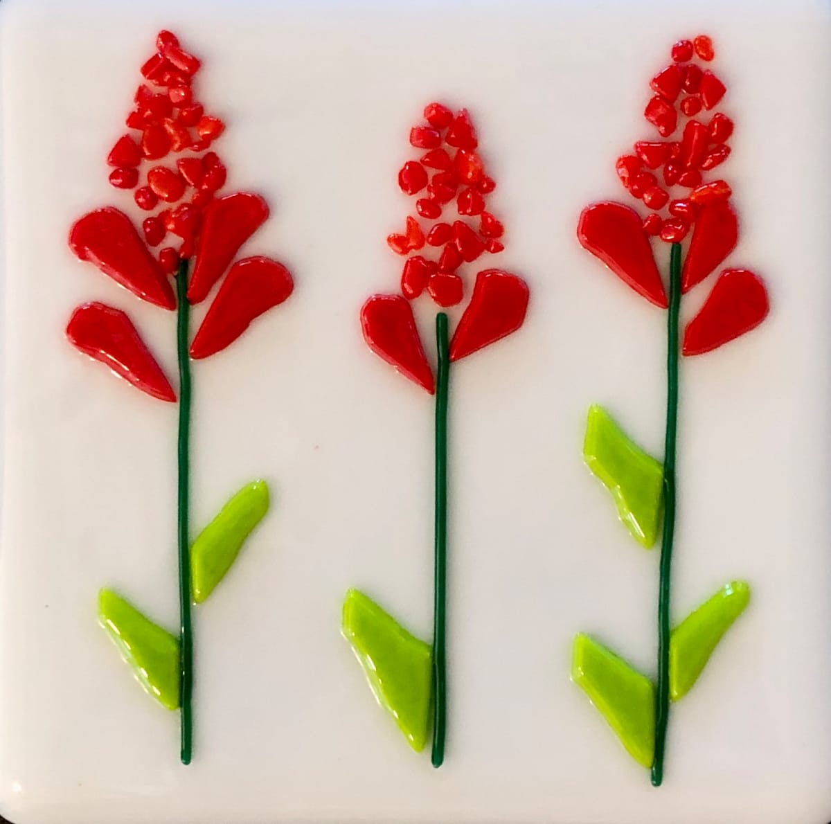 Indian Paintbrush, Image 1.