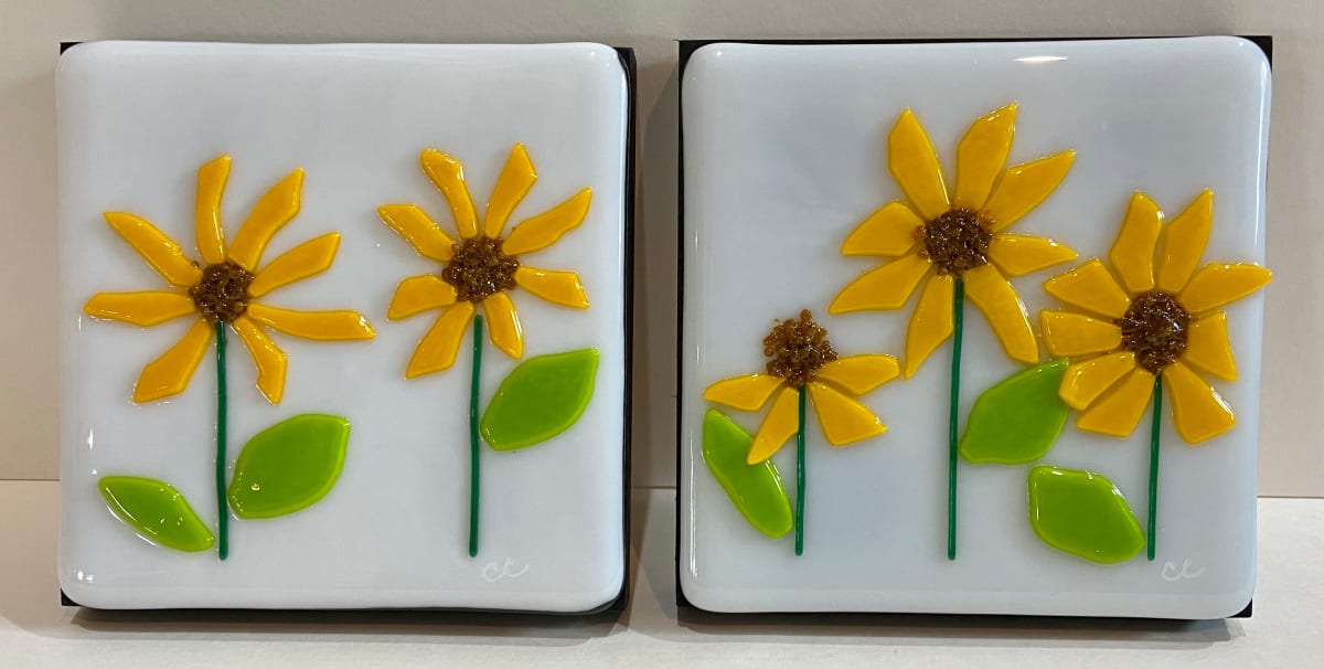 Maximilian Sunflower, Image 1.