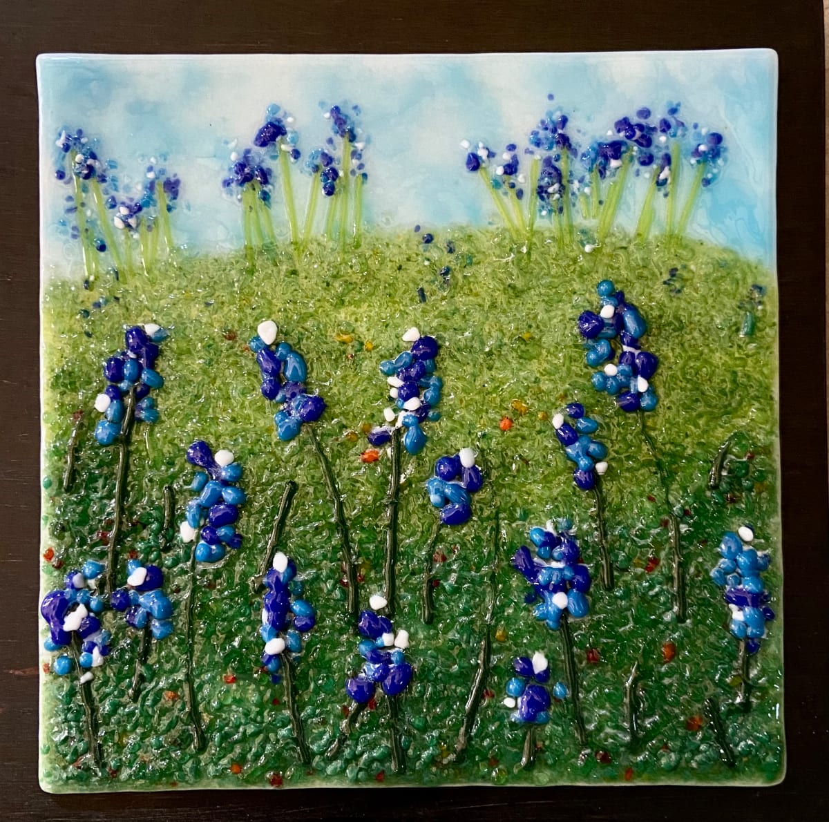 Bluebonnet Fields Forever Series by Cindy Cherrington 