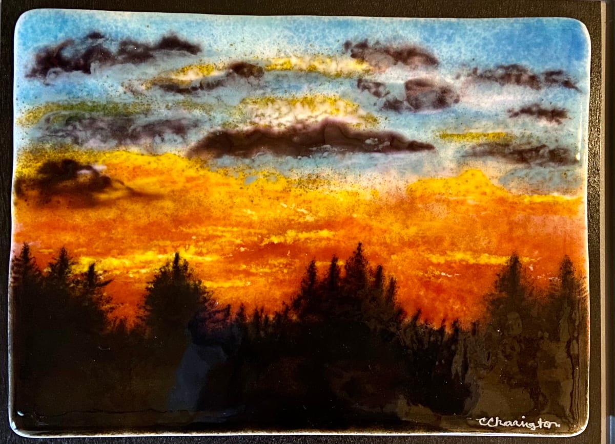 National Forest Sunset by Cindy Cherrington 