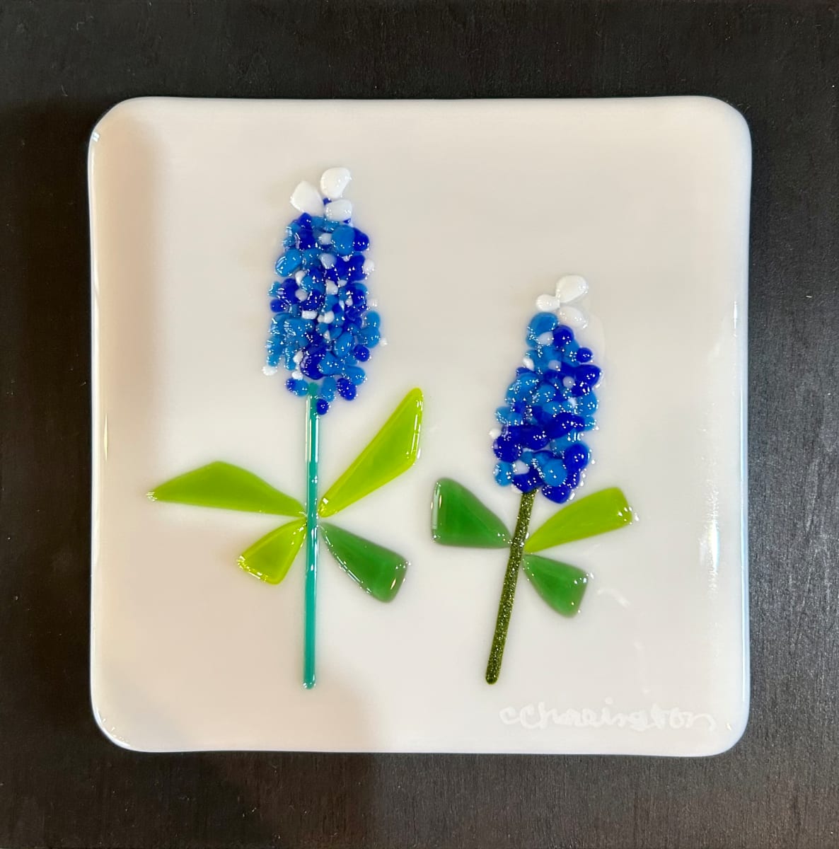 Bluebonnet by Cindy Cherrington 