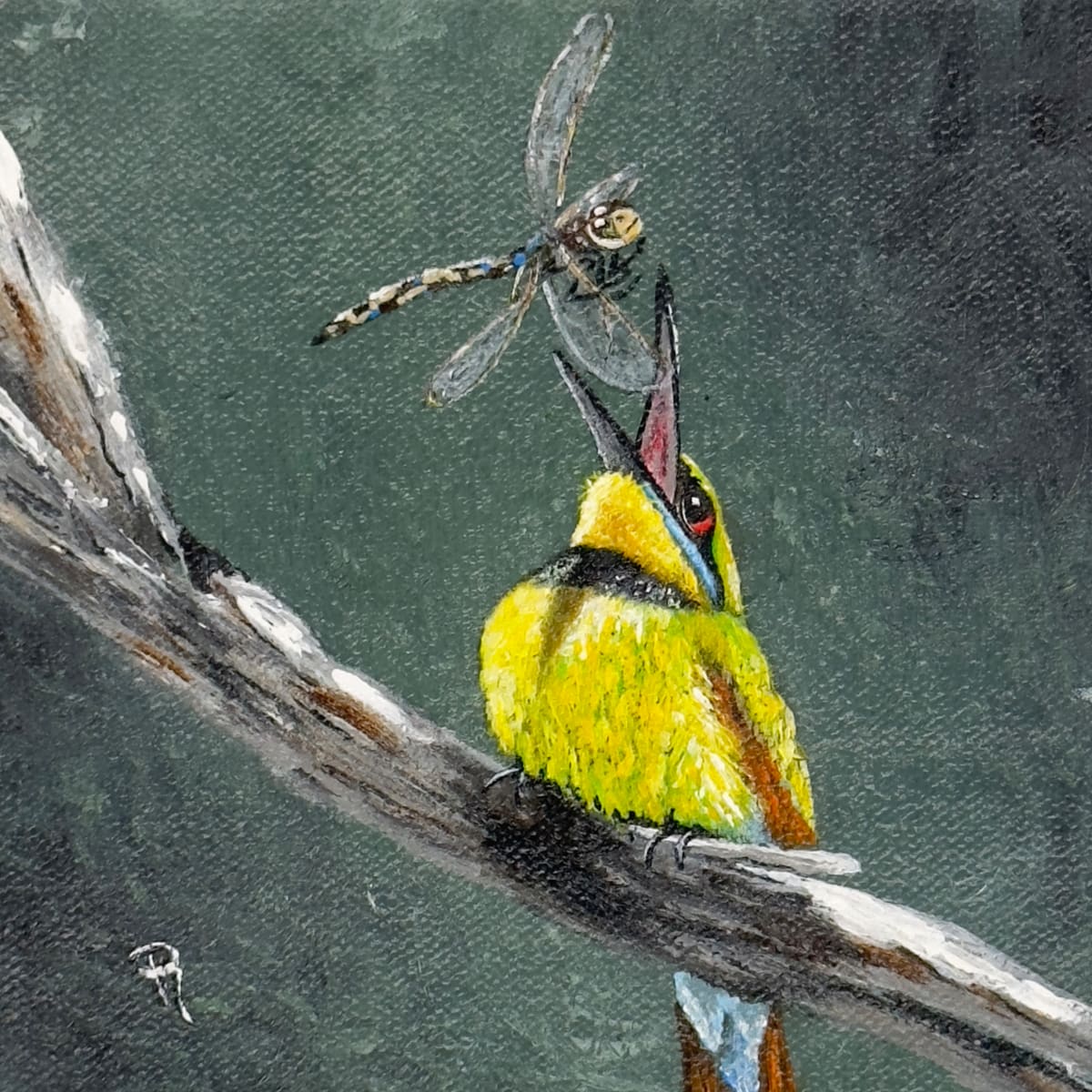 Rainbow Bee Eater by Donna Richardson 