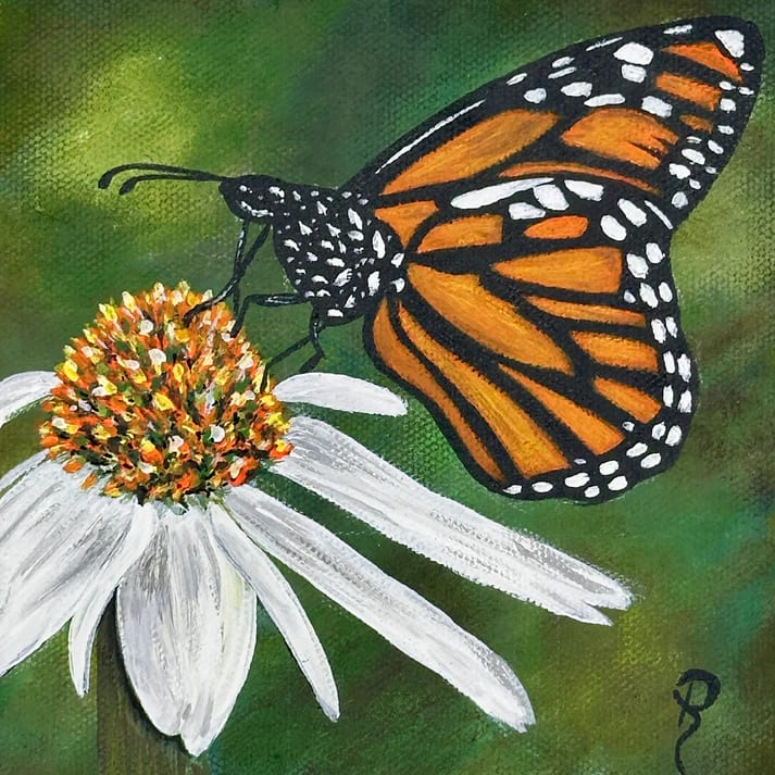 Graceful Monarch by Donna Richardson 