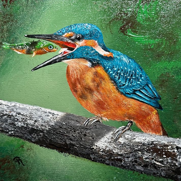 Kingfisher's Surprised Catch by Donna Richardson 