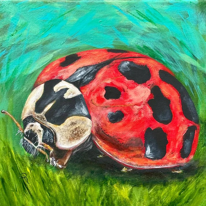 Lively Ladybug by Donna Richardson, Image 1.