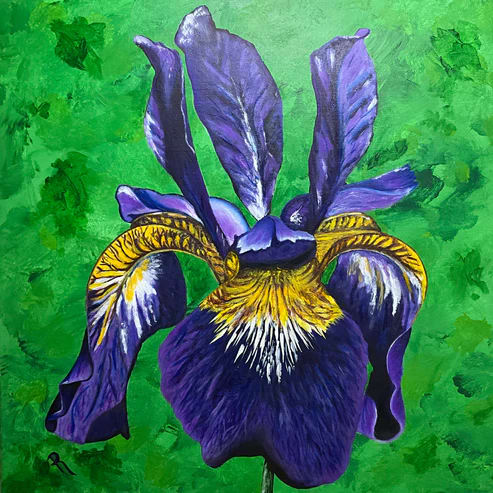 Siberian Iris by Donna Richardson 