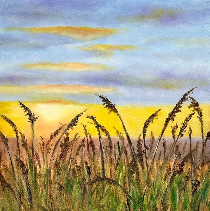 Sunset Fields by Donna Richardson 