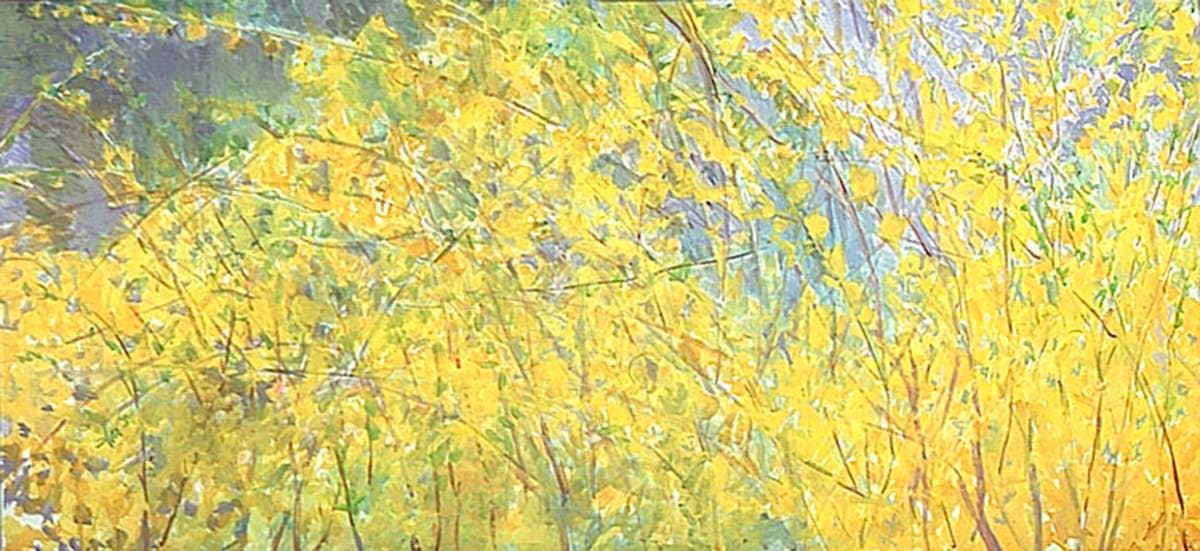 Forsythia by Regina Silvers 