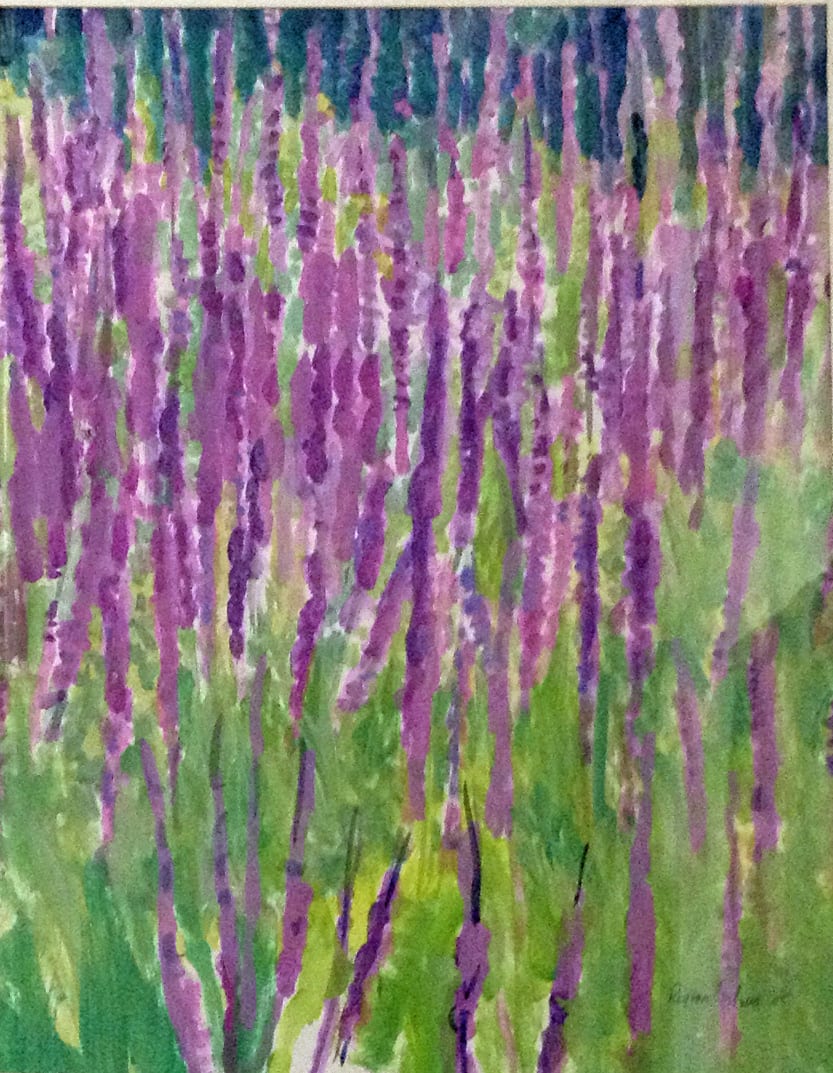 Purple Loosestrife by Regina Silvers 