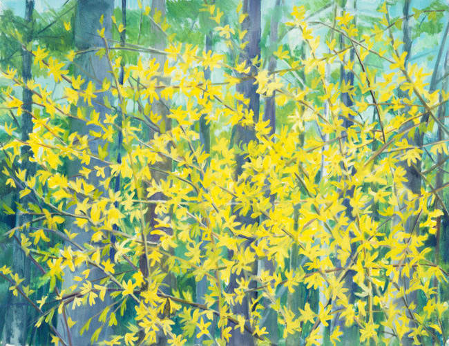 Lake Hill Forsythia by Regina Silvers 