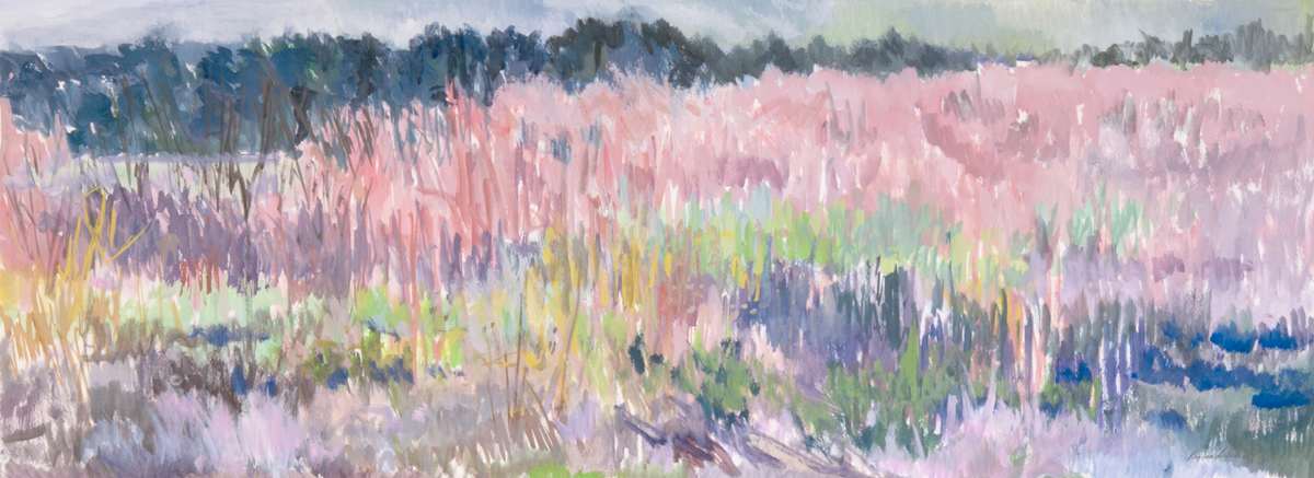 Batavia Field by Regina Silvers, Image 10.