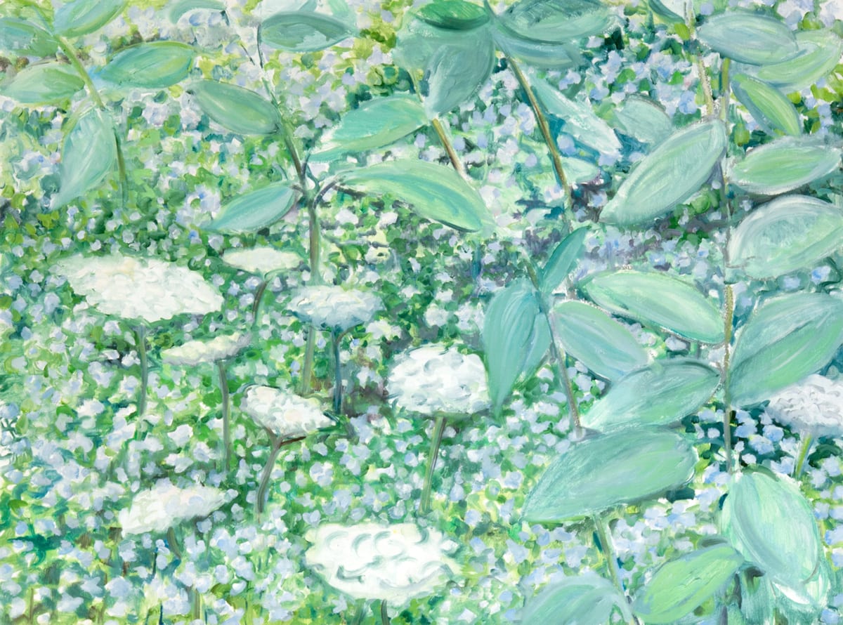 Queen Anne's Lace & Milkweed by Regina Silvers 