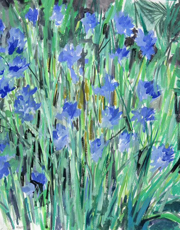 Chicory by Regina Silvers 