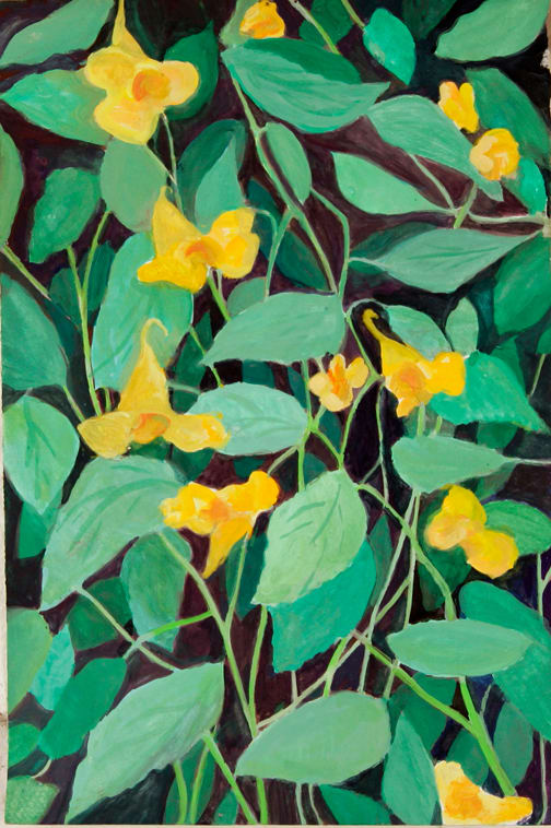 Yellow Jewel Weed by Regina Silvers 