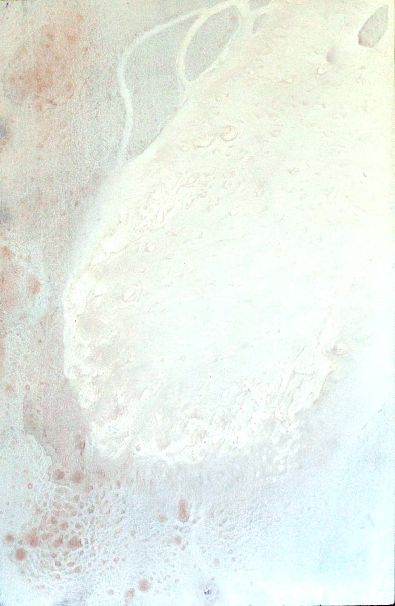 Untitled by Maia Heidel 