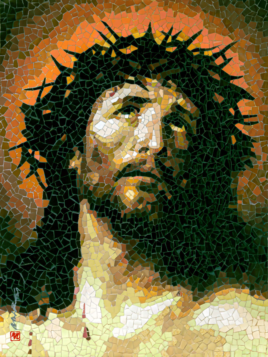 Crown of Thorns 7/8 by Mai Van Nhon