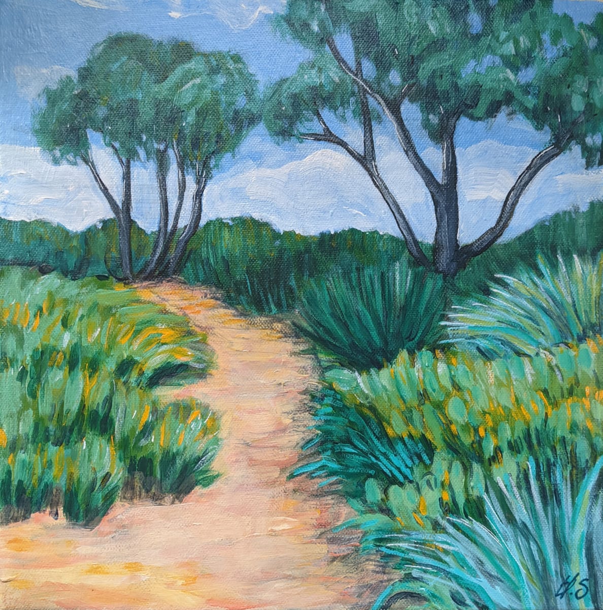 Coastal track by Hilary Seselja 