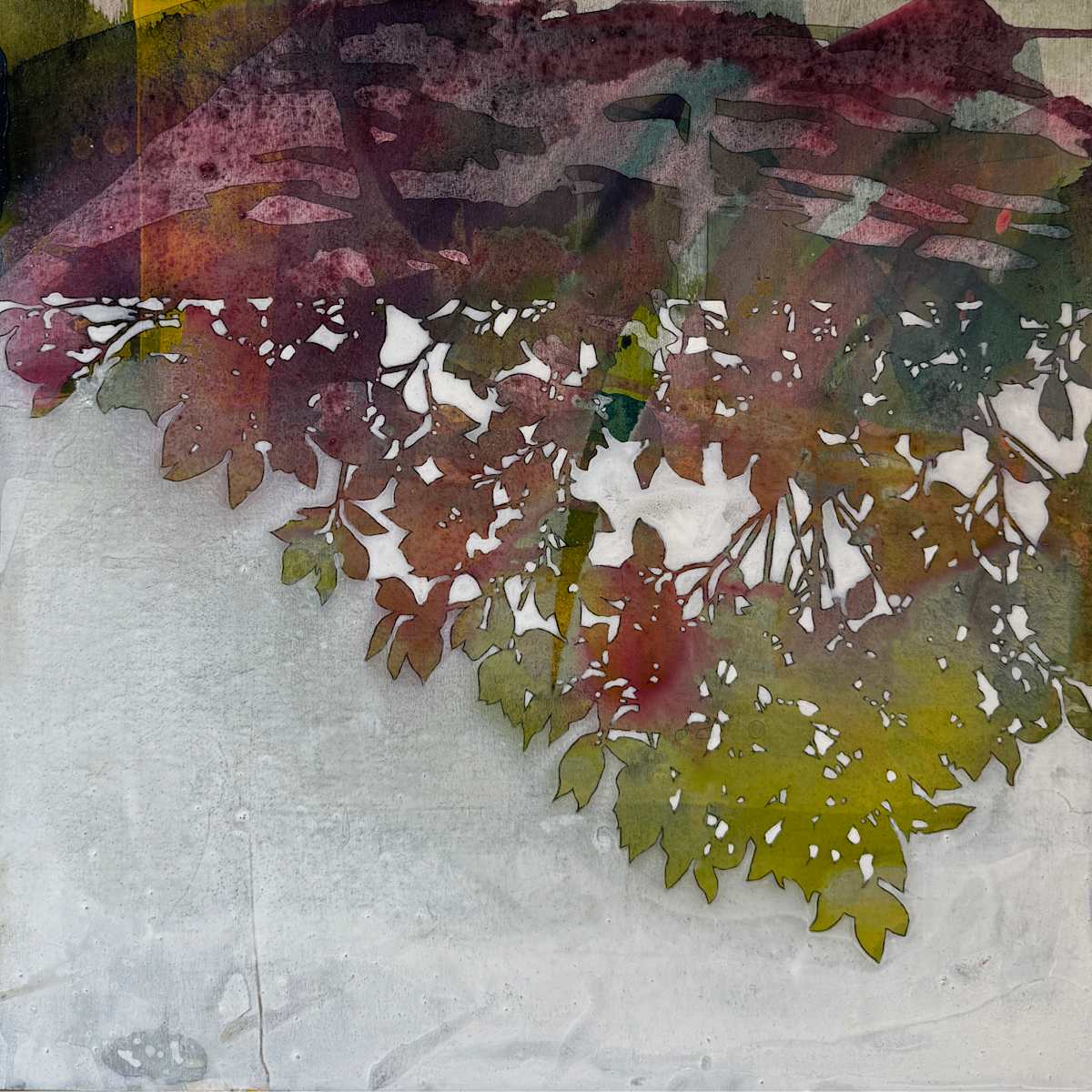 Blossom by Rebecca Tucker 