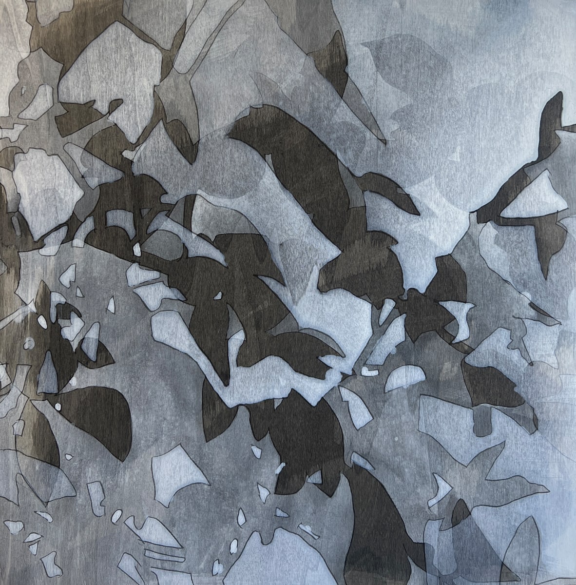 half light shadows by Rebecca Tucker 