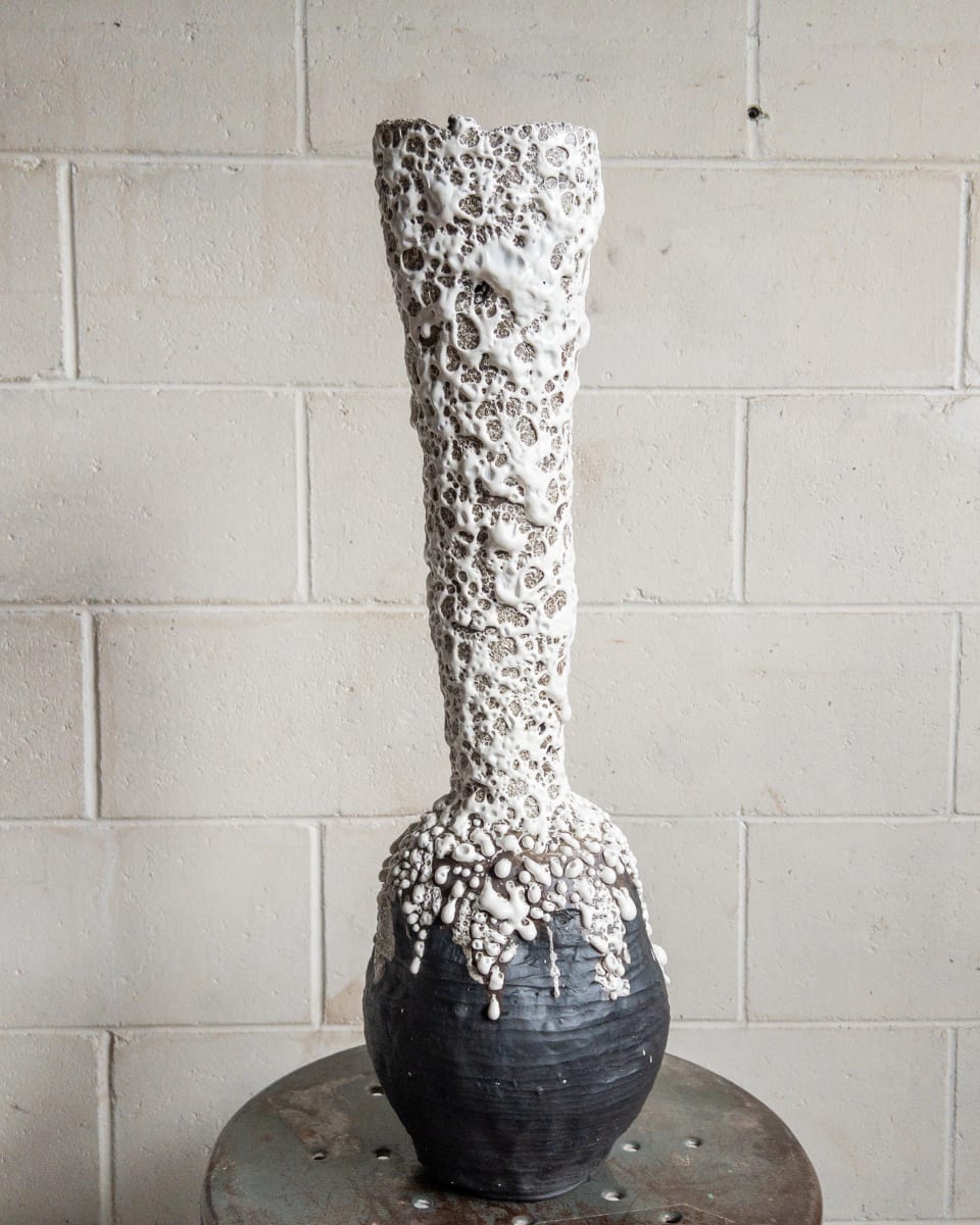 Tall Neck - 28 by Chris Heck 